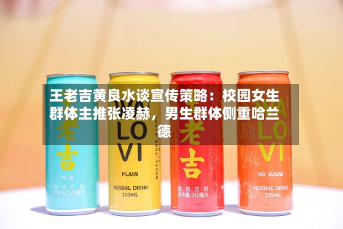 王老吉黄良水谈宣传策略：校园女生群体主推张凌赫，男生群体侧重哈兰德-第3张图片