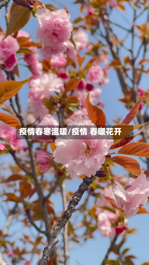 疫情春寒温暖/疫情 春暖花开-第2张图片