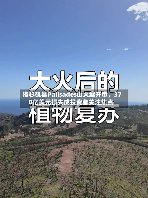 洛杉矶县Palisades山火案开审，370亿美元损失成投资者关注焦点-第3张图片