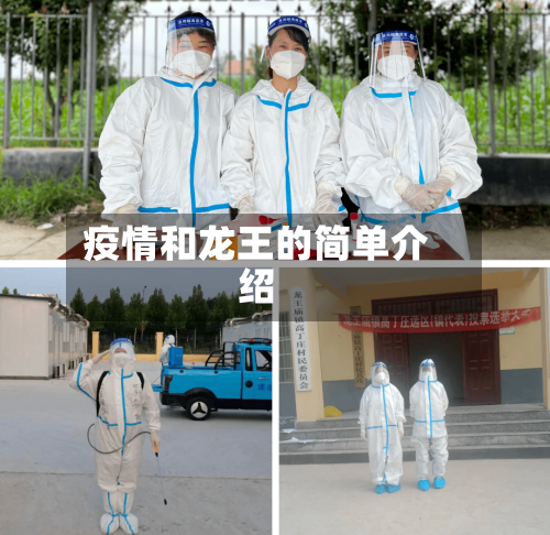 疫情和龙王的简单介绍-第2张图片