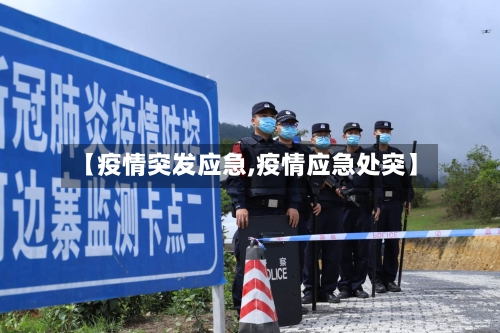 【疫情突发应急,疫情应急处突】