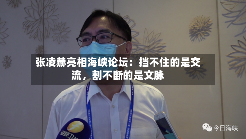张凌赫亮相海峡论坛：挡不住的是交流	，割不断的是文脉-第2张图片