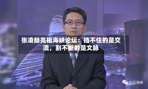 张凌赫亮相海峡论坛：挡不住的是交流，割不断的是文脉