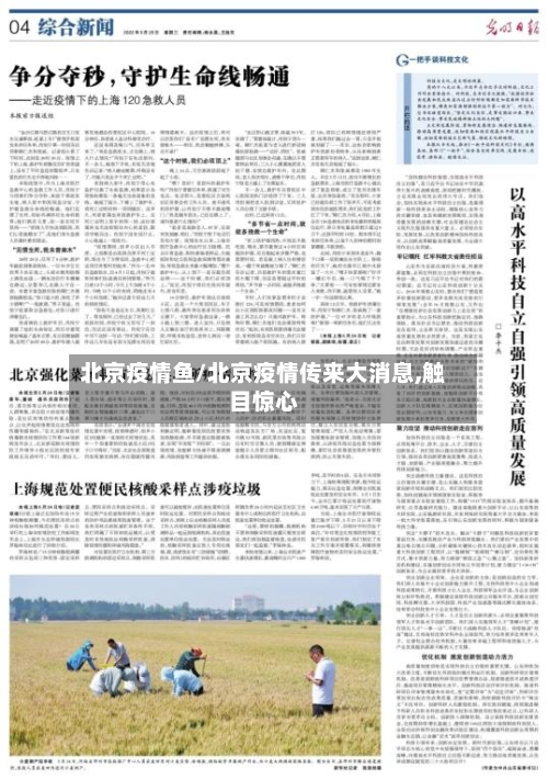 北京疫情鱼/北京疫情传来大消息,触目惊心-第3张图片