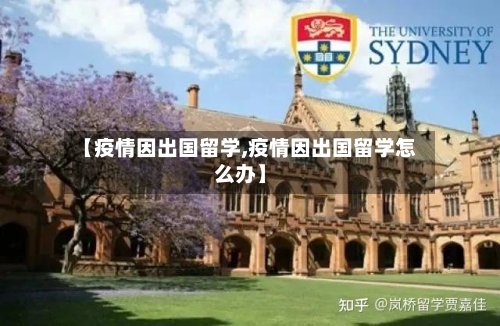【疫情因出国留学,疫情因出国留学怎么办】-第2张图片