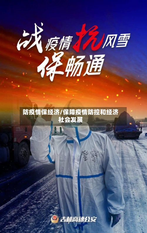 防疫情保经济/保障疫情防控和经济社会发展