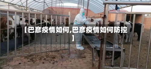 【巴彦疫情如何,巴彦疫情如何防控】