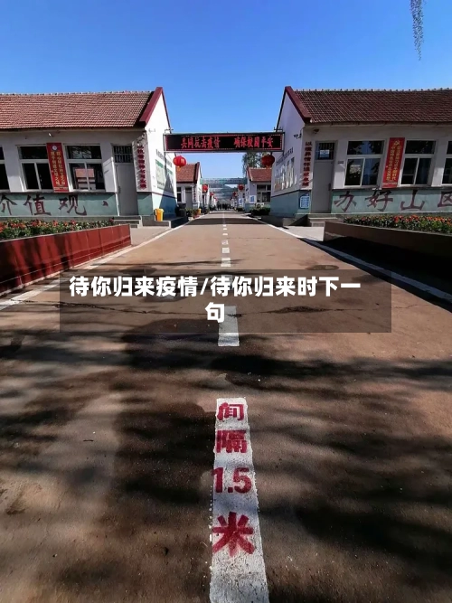待你归来疫情/待你归来时下一句-第3张图片