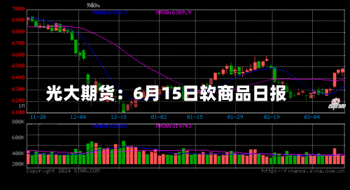光大期货：6月15日软商品日报