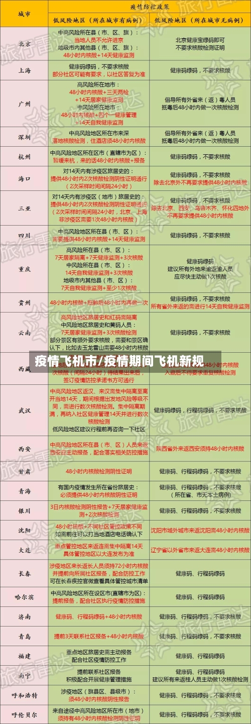 疫情飞机市/疫情期间飞机新规-第2张图片