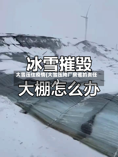 大雪压住疫情(大雪压垮厂房谁的责任)