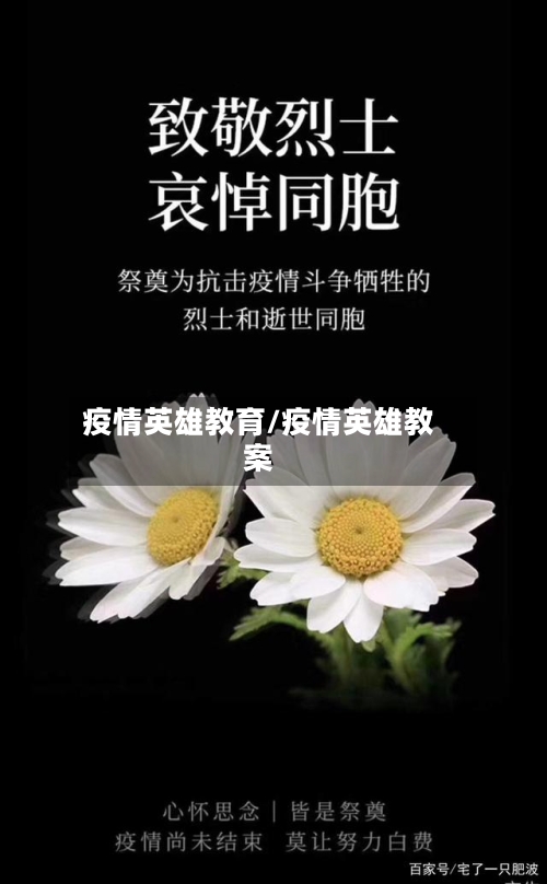 疫情英雄教育/疫情英雄教案