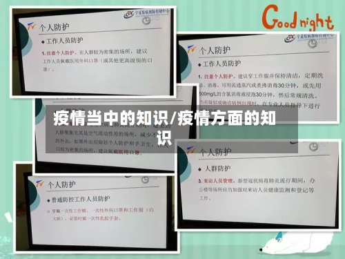 疫情当中的知识/疫情方面的知识